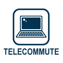 Telecommute Icon